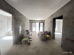 时代倾城 2室2厅 89.49㎡ 毛坯_中山沙溪镇博爱一南二手房图片