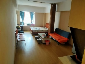 佳源酃湖都市 1室1厅 51㎡ 整租衡阳珠晖区酃湖万达广场租房图片