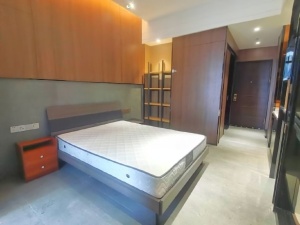 完美金鹰公馆 1室1厅 45㎡ 整租中山石岐街道市人大租房图片