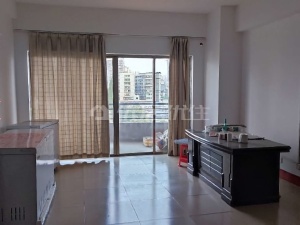 永兴阁 3室2厅 175㎡ 整租衡阳雁峰区岳屏公园租房图片