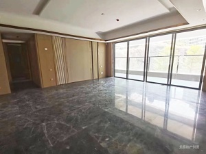 德商樾玺 4室2厅 196.14㎡ 精装_中山南区街道城南一路二手房图片