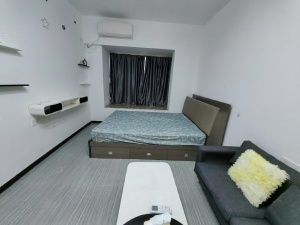 蓝钻双子座楼 1室0厅 41㎡ 整租中山石岐街道第一城小学租房图片