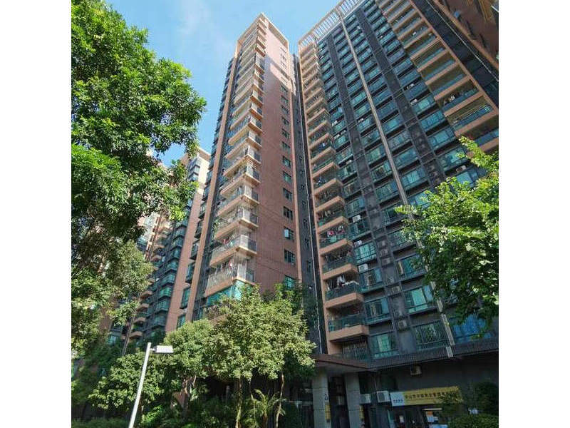 中山市坦洲镇神农路23号朗裕花园2座304房法拍房图片3