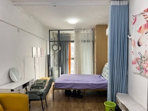 愉景新城 1室1厅 42㎡ 整租衡阳蒸湘区呆鹰岭租房图片