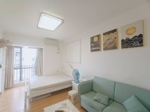 清泉城市广场 1室0厅 38㎡ 整租惠州惠阳区区政府租房图片