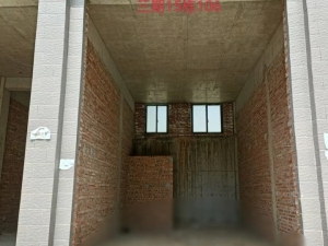 宜章县玉溪镇马耳冲小区三期15栋106号商业门面_郴州法拍房图片