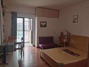 银领时代园 1室1厅 43.2㎡ 精装中山东区街道沙岗墟二手房图片