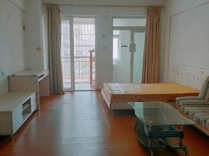 金典水岸 1室1厅 43㎡ 整租_惠州惠城区东江新城租房图片