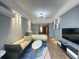 金河湾1881 1室1厅 40㎡ 整租衡阳蒸湘区区政府北租房图片