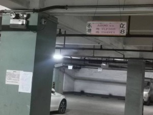 中山市横栏镇庆丰路2格林美域1期地下室A096号_中山法拍房图片