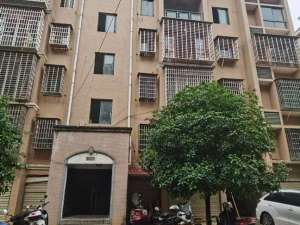 安仁县永乐江镇七一西路神龙国际小区C20栋3层1-302房_郴州法拍房图片