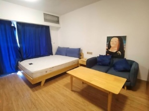 宝晟公馆 1室1厅 38.9㎡ 整租_惠州惠城区龙丰租房图片