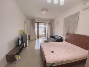 国际新城 1室1厅 37㎡ 整租_惠州惠东县惠东租房图片