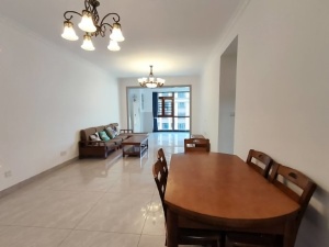 星美新外滩 3室2厅 115㎡ 整租衡阳蒸湘区区政府北租房图片