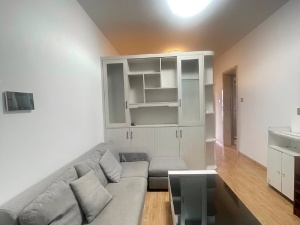 宝晟公馆 2室1厅 53.2㎡ 整租_惠州惠城区龙丰租房图片