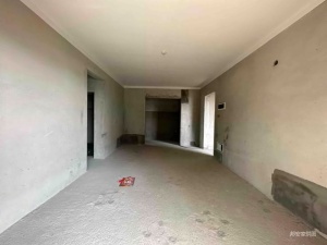 板芙纯水岸 4室2厅 126.49㎡ 毛坯_中山板芙镇板芙镇二手房图片