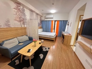 奥园壹中心 1室1厅 43㎡ 整租_惠州惠城区河南岸租房图片