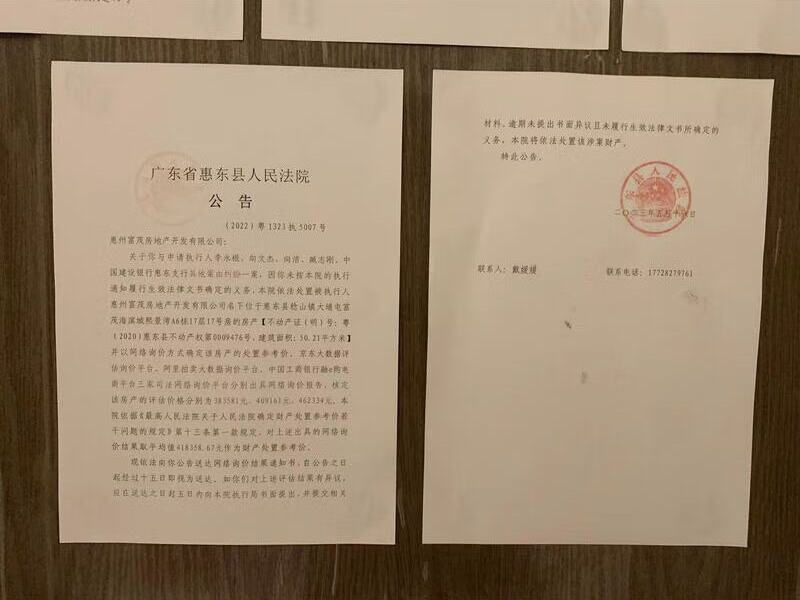 惠东县稔山镇大埔屯富茂海滨城熙景湾A6栋17层17号房法拍房图片3