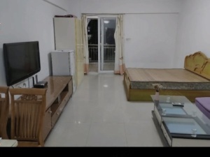 金典水岸 1室1厅 41㎡ 整租_惠州惠城区东江新城租房图片