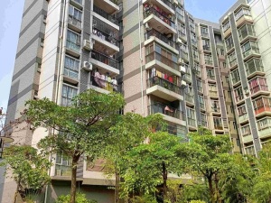 中山市阜沙镇埠港西路15号阜丰豪庭2幢801房_中山法拍房图片