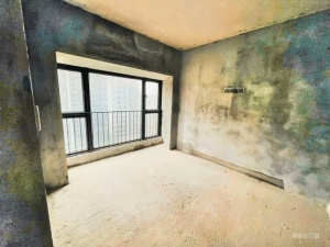 未来荟 3室2厅 79.09㎡ 毛坯珠海香洲区上冲二手房图片