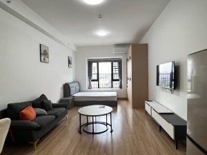 碧桂园衡州盛世 1室1厅 52㎡ 整租衡阳蒸湘区陆家新区租房图片