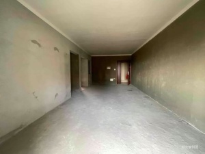 板芙纯水岸 3室2厅 123.12㎡ 毛坯_中山板芙镇板芙镇二手房图片