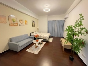 蓝钻星座国际公寓 1室1厅 48㎡ 整租_中山东区街道库充租房图片