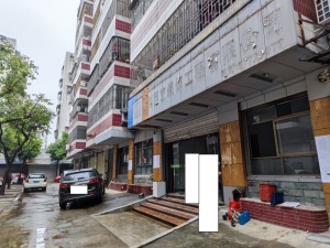 佛山市三水区西南镇富善路7号三座首层103 建筑面积28.8㎡_佛山法拍房图片