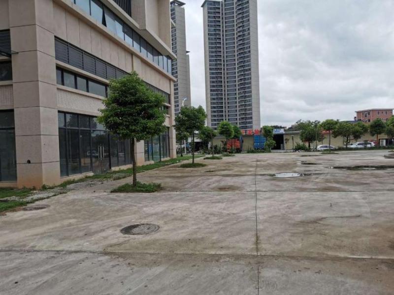 中山市三角镇旭日盛世园4幢103房的房地产法拍房图片2