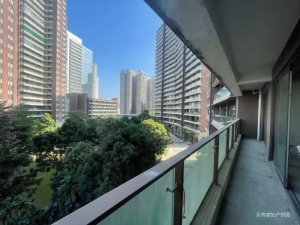 星汇湾 3室2厅 197.05㎡ 毛坯_中山石岐街道老安山二手房图片