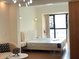 银泰红城 1室1厅 58㎡ 整租衡阳蒸湘区华新租房图片