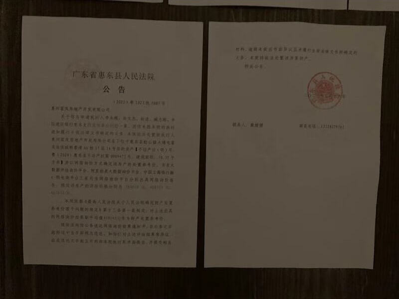 惠东县稔山镇大埔屯富茂海滨城熙景湾A6栋17层14号房法拍房图片2