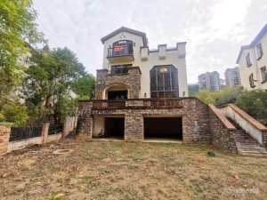 富力南昆山温泉养生谷 7室2厅 328㎡ 精装_惠州龙门县龙门二手房图片