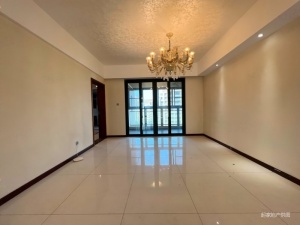 仁恒星园 5室2厅 293.76㎡ 精装珠海香洲区新香洲二手房图片