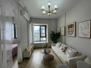 佳源酃湖都市 1室1厅 50㎡ 整租衡阳珠晖区酃湖万达广场租房图片