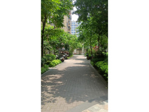 中山市西区彩虹大道26号碧翠华庭5幢801房三分之一份额_中山法拍房图片