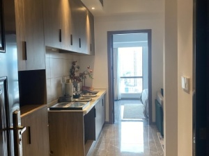 北湖中央公园 1室1厅 42㎡ 整租郴州北湖区下湄桥租房图片