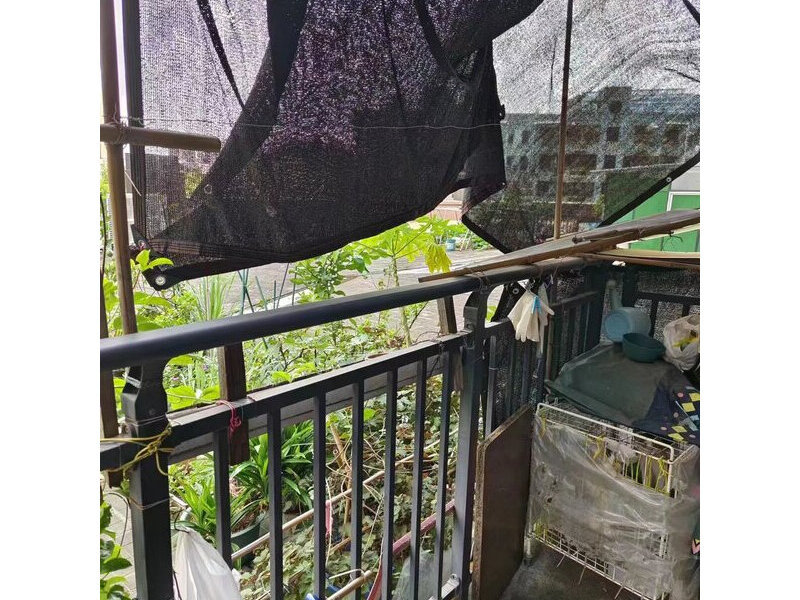 中山市石岐区悦凯路8号15幢309房的不动产法拍房图片4