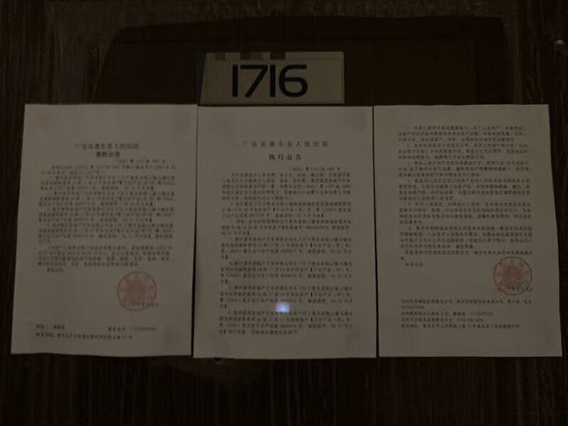 惠东县稔山镇大埔屯富茂海滨城熙景湾A6栋17层16号房法拍房图片2