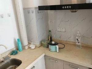 枫叶雅堤 1室0厅 31.7㎡ 整租_惠州惠阳区白云新城租房图片