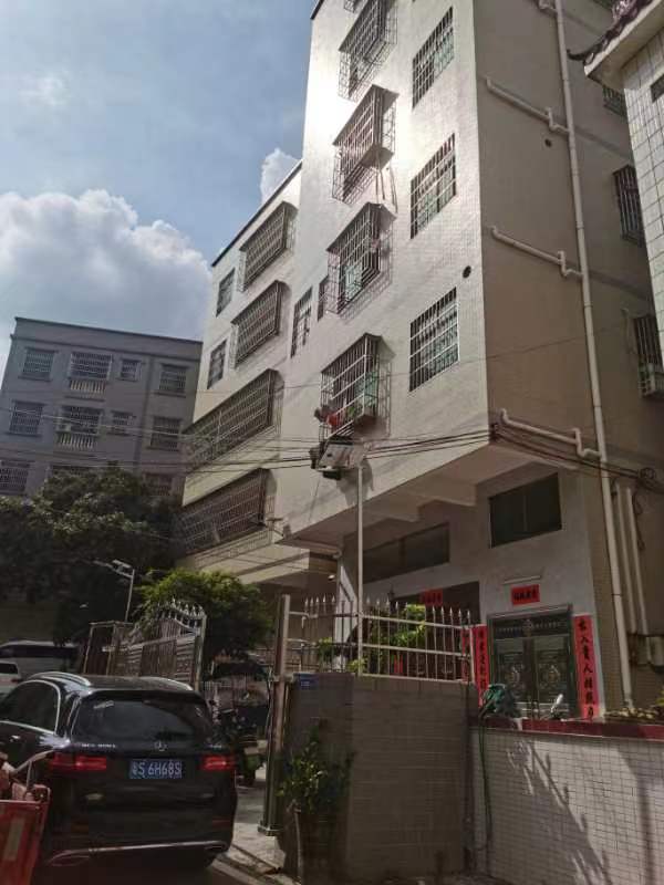 不限购临深惠州市惠阳新圩镇 打禾岗河背路柿子头603两房带装修法拍房图片1