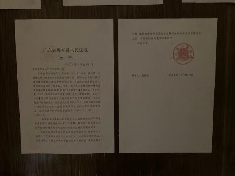 惠东县稔山镇大埔屯富茂海滨城熙景湾A6栋17层15号房法拍房图片5