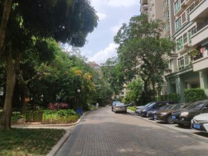 中山市东区雍景园商住小区玉泉街6幢504房的房地产的三分之一产权份额_中山法拍房图片