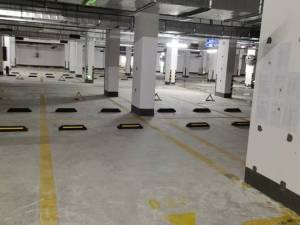 中山市坦洲镇沙坦南路61号香槟花园1-5栋\8-9栋地下车库026号小车位的房地产_中山法拍房图片