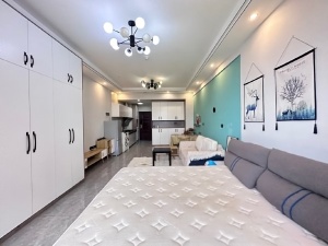 五岭国际芙蓉园 1室1厅 55㎡ 整租郴州北湖区五岭租房图片